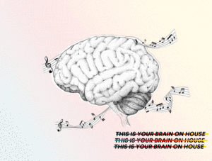 Your Brain On House 30 11 1