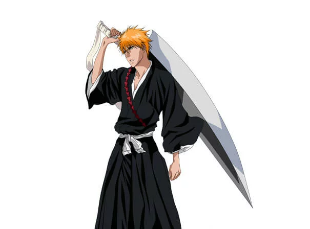 bleach anime MN2S