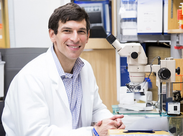 David Fajenbaum