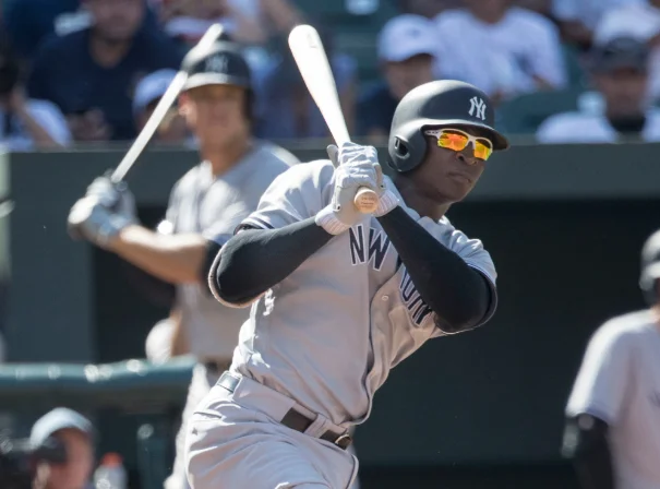 Didi Gregorius
