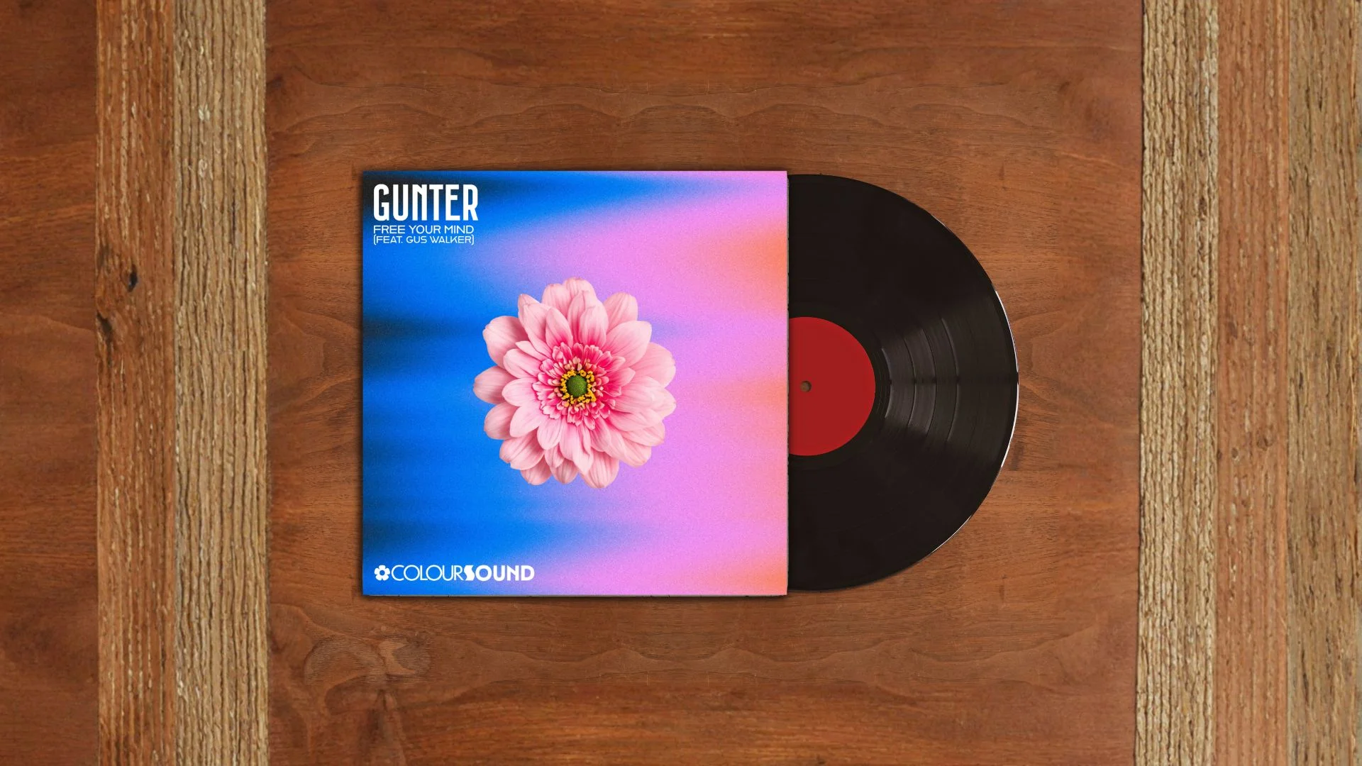 Artist Spotlight: DJ GUNTER