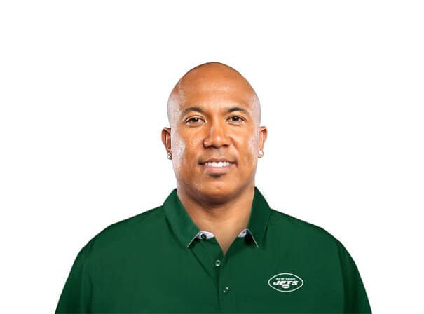 Hines Ward MN2S